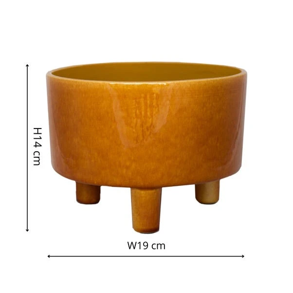 Pisa Bowl Plant Pot 21 Pisa Bowl Plant Pot - Image 19