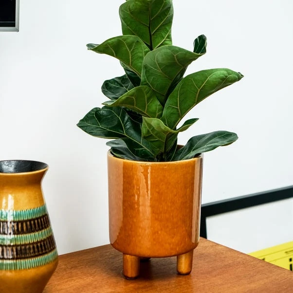 Pisa Plant Pot 11 Pisa Plant Pot - Image 9