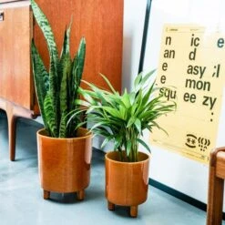 Pisa Plant Pot 31 Pisa Plant Pot -Home Luxe Studio 30911872 alt01