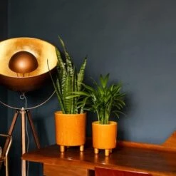 Pisa Plant Pot 32 Pisa Plant Pot -Home Luxe Studio 30911872 alt02