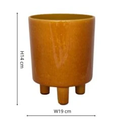 Pisa Plant Pot 35 Pisa Plant Pot -Home Luxe Studio 30911872 alt05
