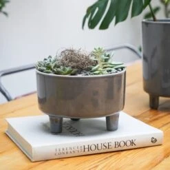 Pisa Bowl Plant Pot 31 Pisa Bowl Plant Pot -Home Luxe Studio 30911873 alt01