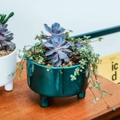 Pisa Bowl Plant Pot 25 Pisa Bowl Plant Pot -Home Luxe Studio 30911875 alt03