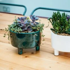 Pisa Bowl Plant Pot 26 Pisa Bowl Plant Pot -Home Luxe Studio 30911875 alt04