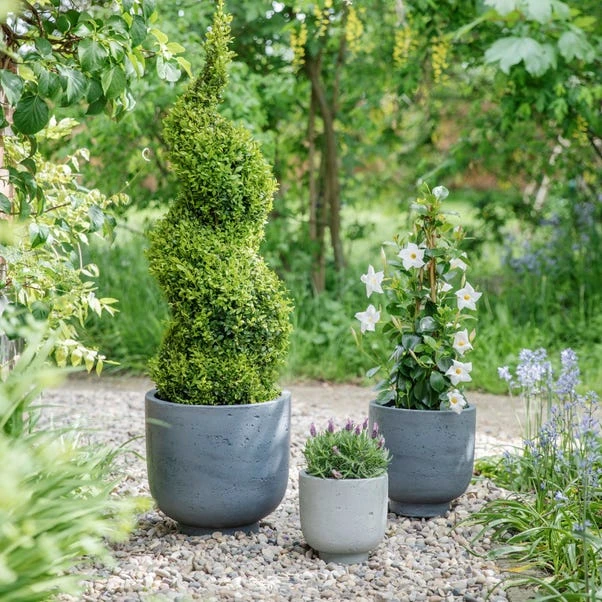 Ivyline Set Of 3 Seattle Plant Pots 6 Ivyline Set Of 3 Seattle Plant Pots - Image 4