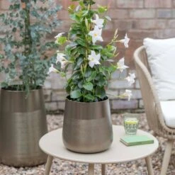 Ivyline Set Of 2 Prescot Plant Pots 12 Ivyline Set Of 2 Prescot Plant Pots -Home Luxe Studio 30911919 alt04