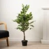 Artificial Mini Ficus Tree In Black Plastic Plant Pot 1 Artificial Mini Ficus Tree In Black Plastic Plant Pot -Home Luxe Studio 30913524