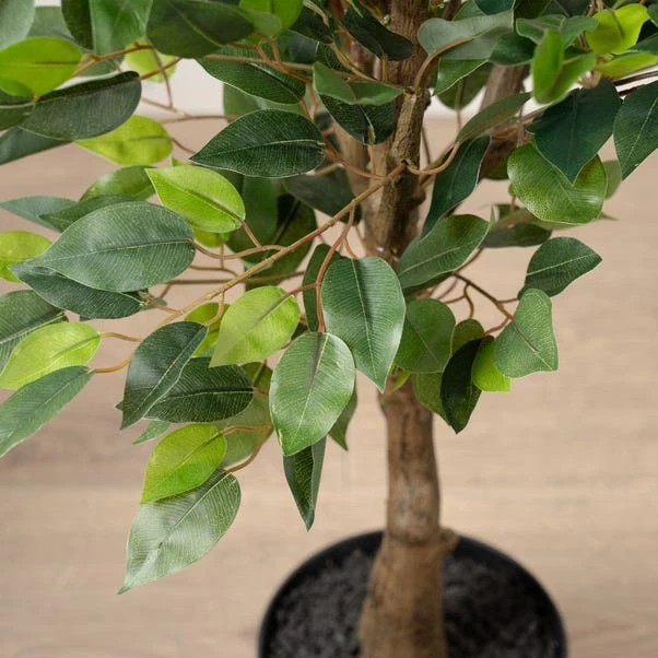 Artificial Mini Ficus Tree In Black Plastic Plant Pot 4 Artificial Mini Ficus Tree In Black Plastic Plant Pot - Image 2