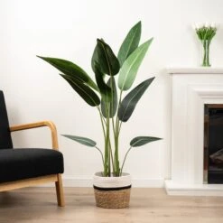 Artificial Bird Of Paradise Tree In Black Plastic Plant Pot