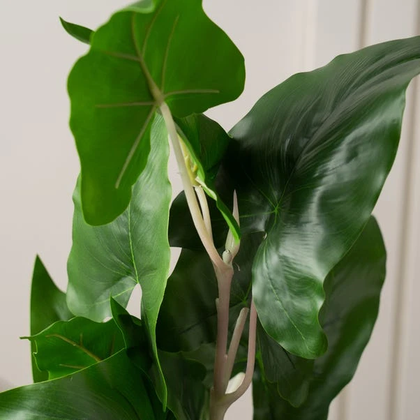 Artificial Real Touch Typhonium In Black Plastic Plant Pot 4 Artificial Real Touch Typhonium In Black Plastic Plant Pot - Image 2