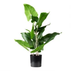 Artificial Real Touch Typhonium In Black Plastic Plant Pot 7 Artificial Real Touch Typhonium In Black Plastic Plant Pot -Home Luxe Studio 30913530 alt02