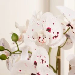 Artificial White Speckled Orchid In Beige Ceramic Plant Pot 15 Artificial White Speckled Orchid In Beige Ceramic Plant Pot -Home Luxe Studio 30913547 alt01