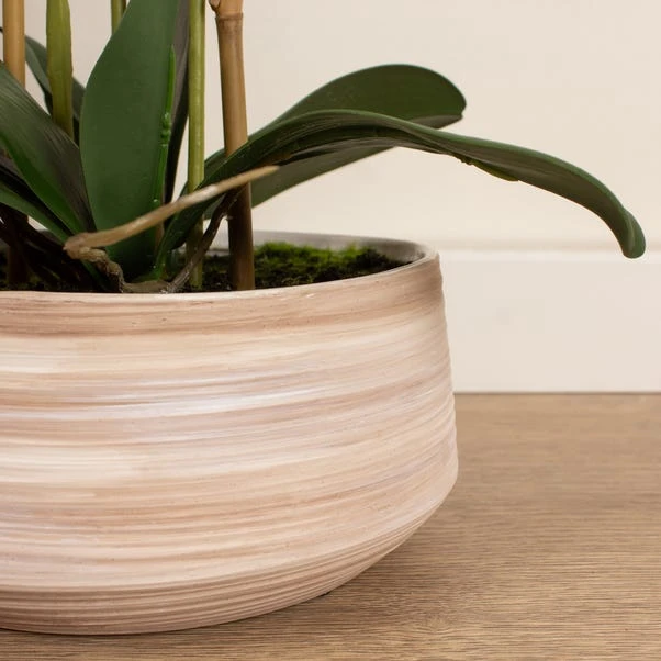Artificial White Speckled Orchid In Beige Ceramic Plant Pot 9 Artificial White Speckled Orchid In Beige Ceramic Plant Pot - Image 7