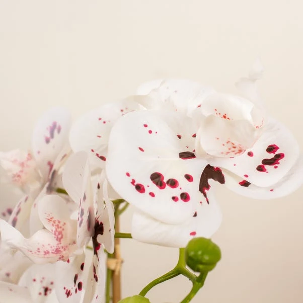 Artificial White Speckled Orchid In Beige Ceramic Plant Pot 4 Artificial White Speckled Orchid In Beige Ceramic Plant Pot - Image 2