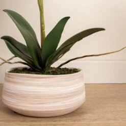 Artificial White Speckled Orchid In Beige Ceramic Plant Pot 12 Artificial White Speckled Orchid In Beige Ceramic Plant Pot -Home Luxe Studio 30913548 alt02