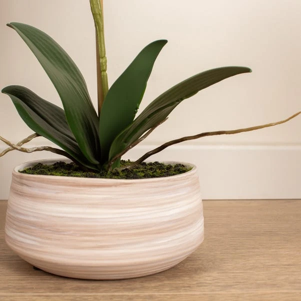 Artificial White Speckled Orchid In Beige Ceramic Plant Pot 5 Artificial White Speckled Orchid In Beige Ceramic Plant Pot - Image 3