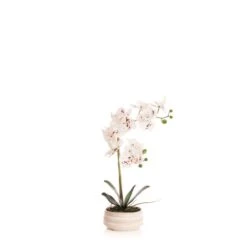 Artificial White Speckled Orchid In Beige Ceramic Plant Pot 13 Artificial White Speckled Orchid In Beige Ceramic Plant Pot -Home Luxe Studio 30913548 alt03