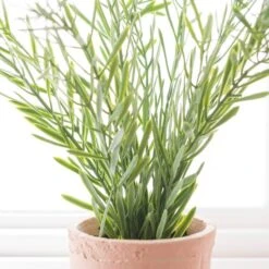 Artificial Rosemary In Orange Cement Plant Pot -Home Luxe Studio 30918337 alt02