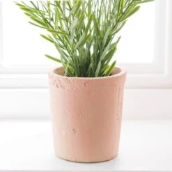 Artificial Rosemary In Orange Cement Plant Pot -Home Luxe Studio 30918337 alt03