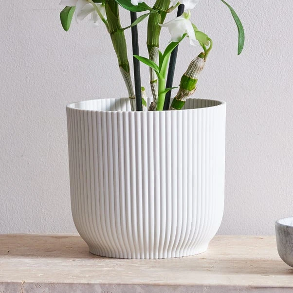 Dendrobium Bamboo Orchid House Plant In Vibes Pot 9 Dendrobium Bamboo Orchid House Plant In Vibes Pot - Image 7