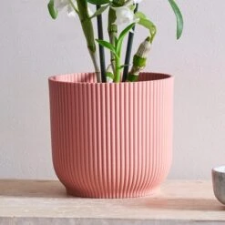 Dendrobium Bamboo Orchid House Plant In Vibes Pot 32 Dendrobium Bamboo Orchid House Plant In Vibes Pot -Home Luxe Studio 30920699 alt02