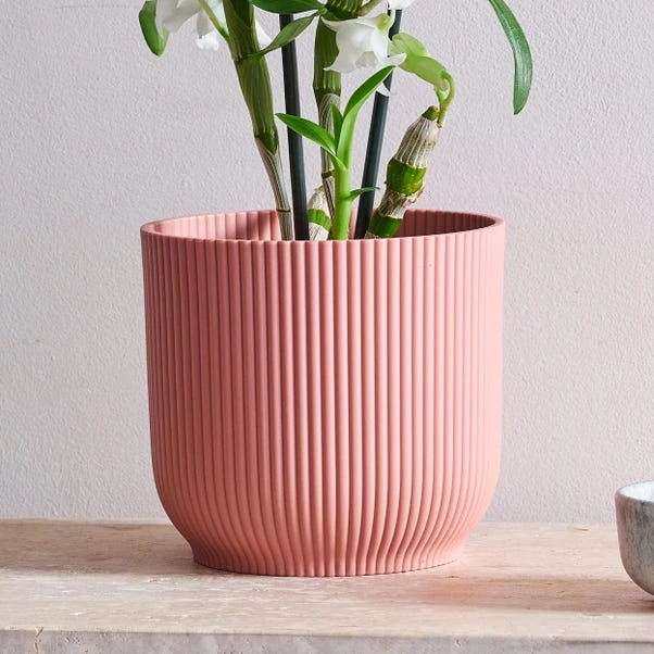 Dendrobium Bamboo Orchid House Plant In Vibes Pot 17 Dendrobium Bamboo Orchid House Plant In Vibes Pot - Image 15