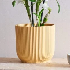 Dendrobium Bamboo Orchid House Plant In Vibes Pot 20 Dendrobium Bamboo Orchid House Plant In Vibes Pot -Home Luxe Studio 30920700 alt02