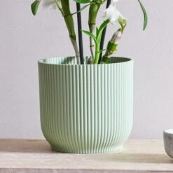 Dendrobium Bamboo Orchid House Plant In Vibes Pot 28 Dendrobium Bamboo Orchid House Plant In Vibes Pot -Home Luxe Studio 30920702 alt02