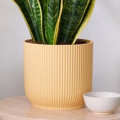 Snake House Plant In Elho Pot 40 Snake House Plant In Elho Pot -Home Luxe Studio 30920754 alt02