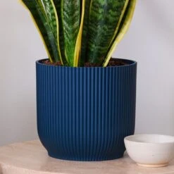 Snake House Plant In Elho Pot 36 Snake House Plant In Elho Pot -Home Luxe Studio 30920755 alt02