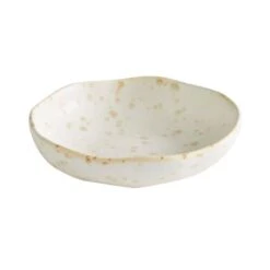 Speckle Glaze Bowl 5 Speckle Glaze Bowl -Home Luxe Studio 30923148 alt01