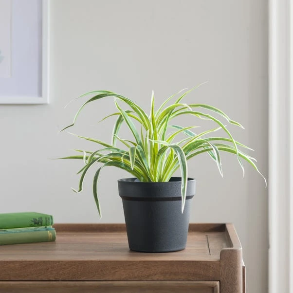 Artificial Spider Plant In Black Plant Pot 3 Artificial Spider Plant In Black Plant Pot