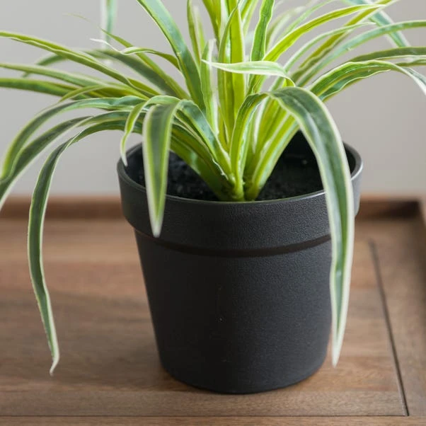 Artificial Spider Plant In Black Plant Pot 6 Artificial Spider Plant In Black Plant Pot - Image 4