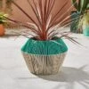 Two Tone Woven Plant Pot -Home Luxe Studio 30925784