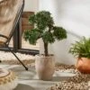 Artificial Green Pine Bonsai Tree In Rustic Natural Plastic Plant Pot -Home Luxe Studio 30926370