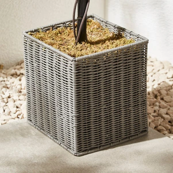 Artificial Boxwood Ball Tree In Woven Plant Pot 7 Artificial Boxwood Ball Tree In Woven Plant Pot - Image 5