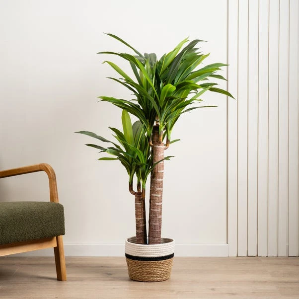 Artificial Triple Stem Yucca Tree In Black Plant Pot 3 Artificial Triple Stem Yucca Tree In Black Plant Pot