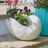 Resin Off White Nautilus Shell Plant Pot 2 Resin Off White Nautilus Shell Plant Pot -Home Luxe Studio 30927979