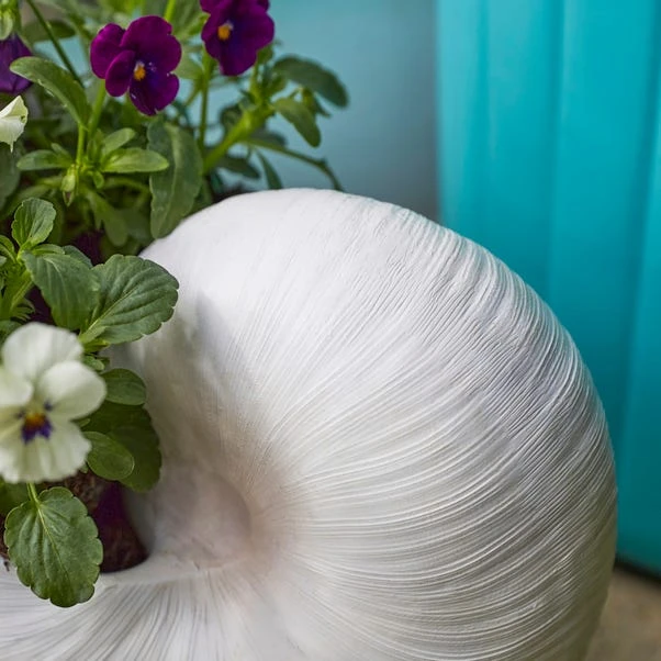 Resin Off White Nautilus Shell Plant Pot 4 Resin Off White Nautilus Shell Plant Pot - Image 2