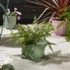 Resin Frog Plant Pot -Home Luxe Studio 30927987