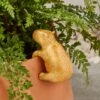 Capybara Resin Pot Hanger 1 Capybara Resin Pot Hanger -Home Luxe Studio 30927988