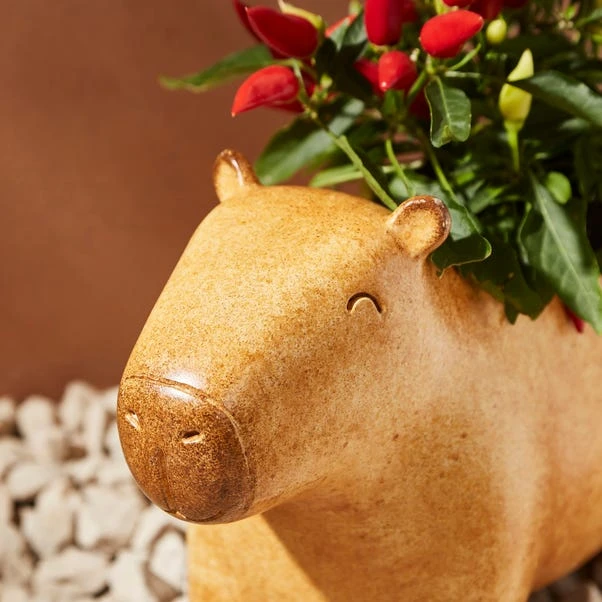 Resin Capybara Plant Pot 4 Resin Capybara Plant Pot - Image 2