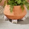 Set Of 3 Resin Tortoise Pot Feet 2 Set Of 3 Resin Tortoise Pot Feet -Home Luxe Studio 30928007