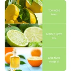 Heart And Home Ellipse Citrus Crush Multi Wick Candle 9 Heart And Home Ellipse Citrus Crush Multi Wick Candle -Home Luxe Studio 30933011 alt03