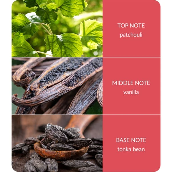 Heart And Home Ellipse True Enchantment Multi Wick Candle 6 Heart And Home Ellipse True Enchantment Multi Wick Candle - Image 4