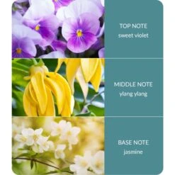 Heart And Home Ellipse Simply Spa Multi Wick Candle 9 Heart And Home Ellipse Simply Spa Multi Wick Candle -Home Luxe Studio 30933016 alt03