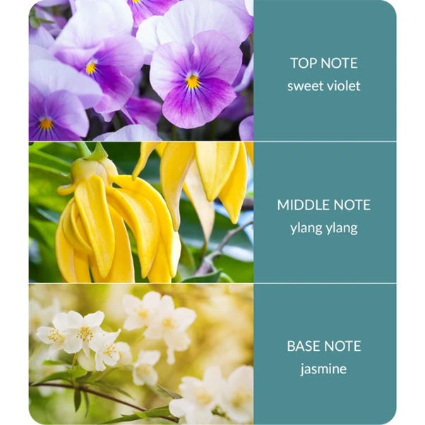 Heart And Home Ellipse Simply Spa Multi Wick Candle 6 Heart And Home Ellipse Simply Spa Multi Wick Candle - Image 4