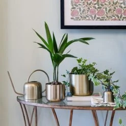 Kew Matt Brass Plant Mister -Home Luxe Studio 30937030 alt02