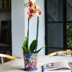 Kew Temperate House Planter With Saucer 18 Kew Temperate House Planter With Saucer -Home Luxe Studio 30937058