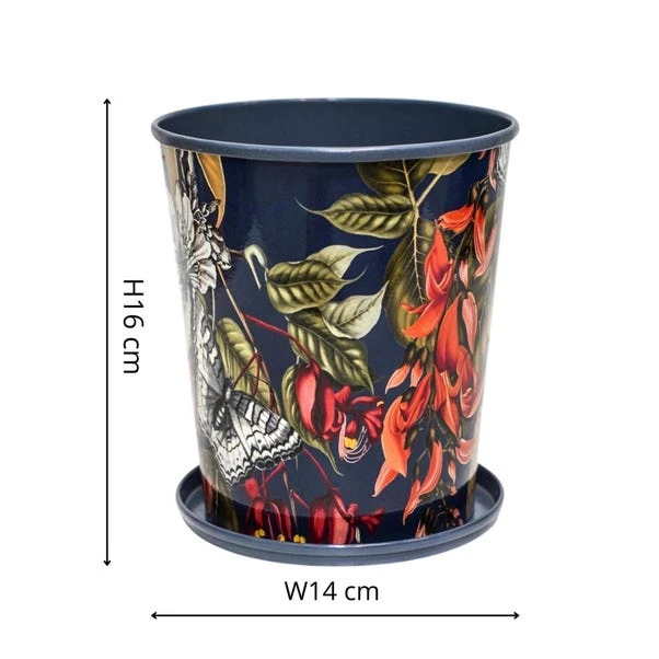 Kew Temperate House Planter With Saucer 10 Kew Temperate House Planter With Saucer - Image 8